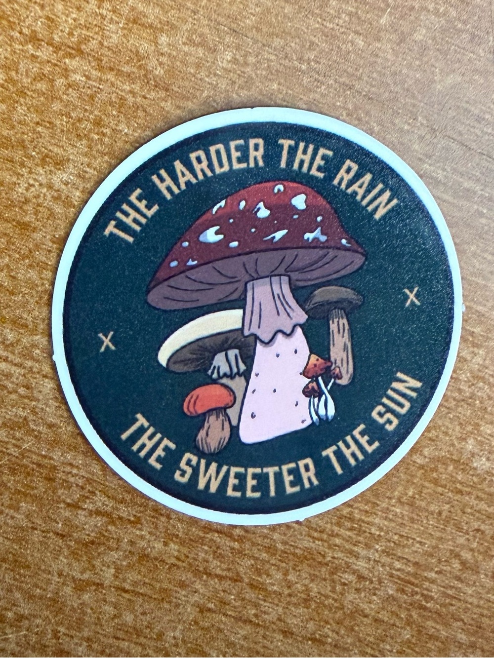 Mushroom Graphic Round Sticker - Green Background, Red & Pink Mushroom